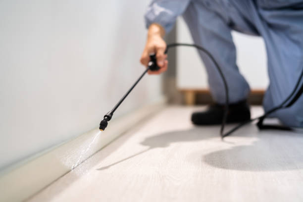 Licensed Pest Control service in Huntland, TN - Show Me Pest Control