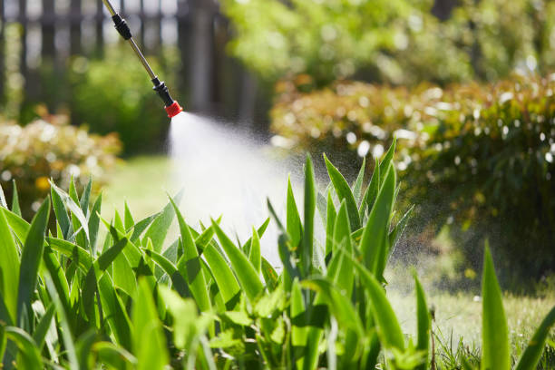 24/7 Emergency Mosquito Control experts in Huntland, TN